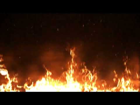 PRP - DROGA DO NIENAWIŚCI(audio)