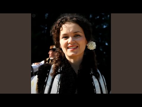 Jocul Meu Îi Ca Și Para