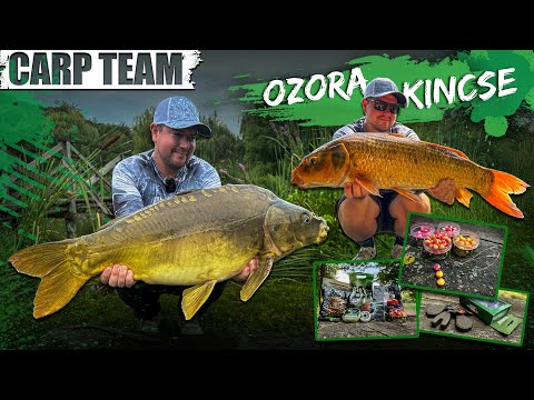 Rokolya Péter - Ozora kincse