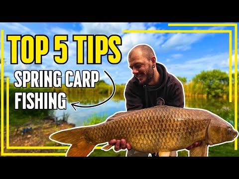 Top 5 Tips For Spring Carp Fishing! | Catch More Carp