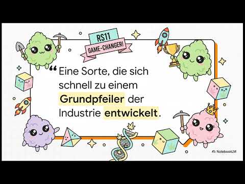 RS11 Rainbow Sherbet #11 Strain Review - 33% THC Genetics Breakdown | Cannabis Guide