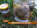 https://www.youtube.com/watch?v=jrlWn1hueUw
