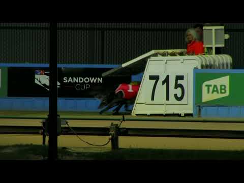 2022 Sandown Cup Heat 5