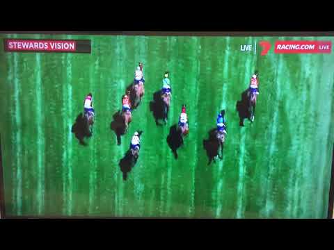 2016 Coolmore Stakes - Flying Artie