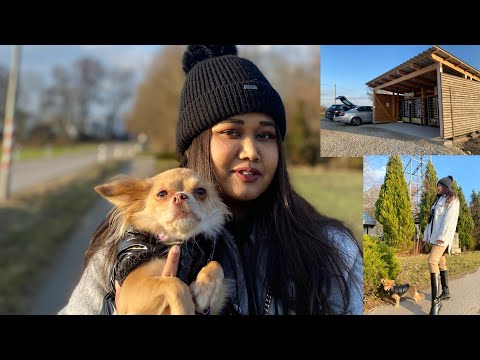 Where is our Chihuahua taking us today - Eierautomat | Dog Walking with Missy | Egg Vending Machine