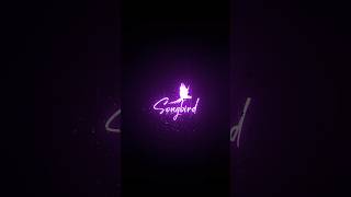 Download lagu Zachariahyude Garbinikal | Veyil Chilla Lyric Video | Jyotsna Radhakrishnan | Vishnu - Sarath | HD mp3 Download lagu Zachariahyude Garbinikal | Veyil Chilla Lyric Video | Jyotsna Radhakrishnan | Vishnu - Sarath | HD mp3