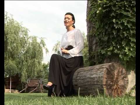 Ana Barbu - Amintirile ma poarta