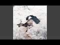 White Ward - Embers Video