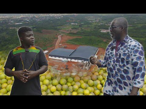 We Built A Factory To Process 5000 Acres Abandoned Orange Farms In Ghana 🇬🇭