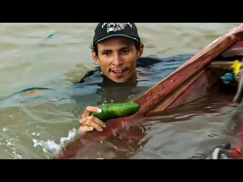 Brasil: vida y muerte en el río | Los viajes más mortíferos | Documental completo en español