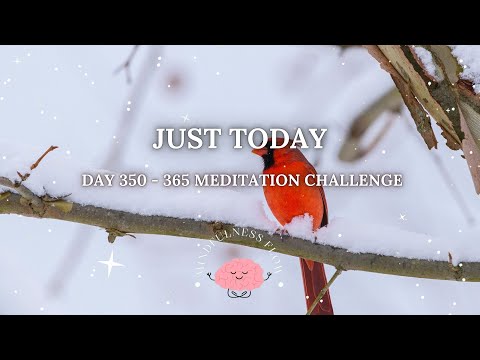365 Days Meditation Challenge | Day 350 - Just Today❄️