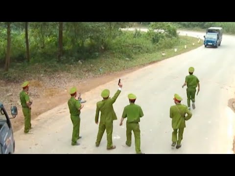 PHIM VIỆT NAM | LUẬT RỪNG | PHIM VIỆT NAM HAY MỚI NHẤT | PHIM TRUYỀN HÌNH HTV