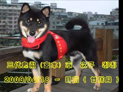 ２０１１年　－　給吾兒的一首歌(原發表者:DoDo爸)(影片)