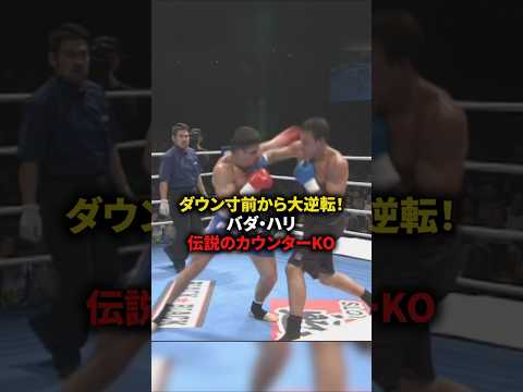 ダウン寸前から大逆転！バダ・ハリ伝説のカウンターKO　#格闘技
