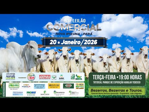 63º LEILÃO COMERCIAL - NOVA IPIXUNA / PA