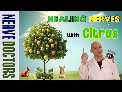 Use Citrus Power to Repair Your Nerves! - The Nerve Doctors