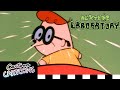 Dexter S Dodgeball Royale Dexter S Laboratory Cartoon Cartoons