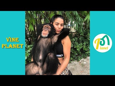 Ultimate Elizabeth Ruiz Funny Videos 2019 - Vine Planet✔