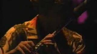Michael Franks - Eggplant (Live 1991)
