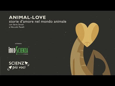 Animal-Love, Storie d'Amore nel Mondo Animale