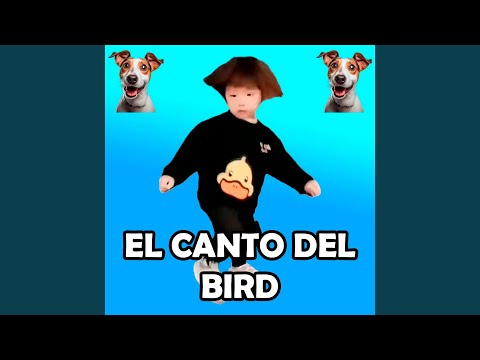 El Canto Del Bird