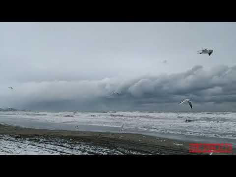 Atakent Beach 2021(Samsun)