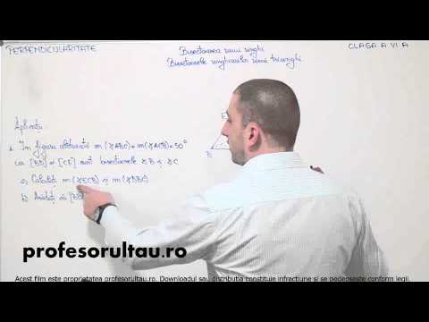 27   cls6   Perpendicularitate   bisectoarea unui unghi bisectoarele unghiurilor unui triunghi   exercitiu