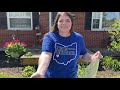 Brookville Class of 2020, We want you to "Have It All."
