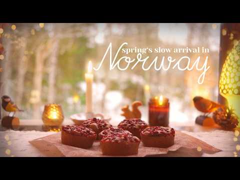 Spring's Quiet Arrival at the Cabin in the North - Cozy Baking, Forest Visitors and Making Art