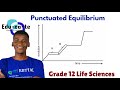 Punctuated equilibrium - Evolution by Natural Selection (Grade 12 Life Sciences)