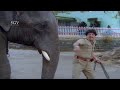 Dr Vishnuvardhan Beats Elephant Without Knowing The Truth Jayasimha Kannada Movie Scene