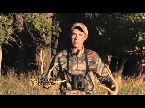 Record Quest: Rattling