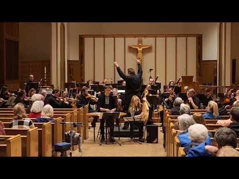 Віктор Дмитренко "Карпатські полонини" /  Music by Viktor Dmytrenko "Carpathian meadows"