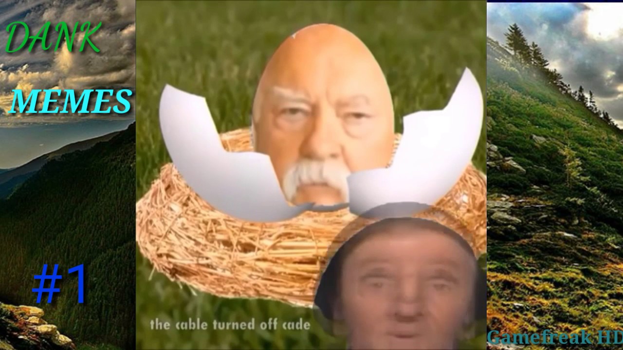Dank memes compilation v1. Try not to laugh