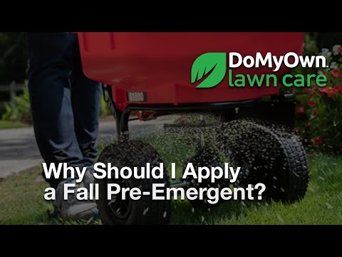  Why Should I Apply Fall Pre Emergent Herbicides?  - Weed Prevention Tips Video 