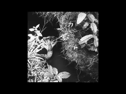 94. epsyle - diadème [31.12.2016]