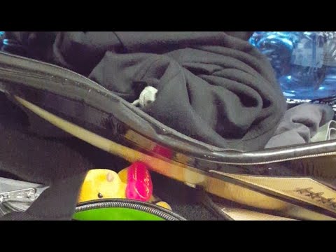 Bunbury Open Day 2 WS Finals