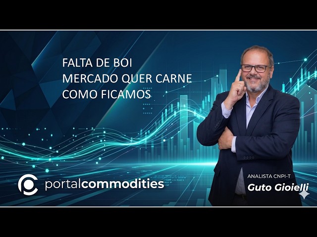 Teremos boi gordo..