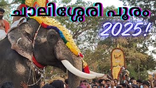 ഈ പൂരം വ്യത്യസ്തമാകുന്നത് ഇതുകൊണ്ടാണ് ചാലിശ്ശേരി പൂരം 2025chalissery pooram 2025