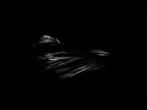 Sander Méndez - Believe In The Power Of Music EP 64 | Progressive House & Dark Melodic Techno