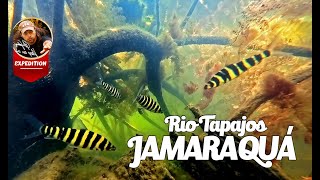 Film Rzeka Rio Tapajos