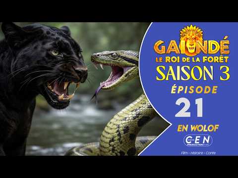 GAÏNDÉ Le Roi De La Forêt - Saison 3 - Épisode 21 - En Wolof - VOSTFR 