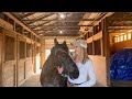 Why did I start a YouTube channel with my horse Turtle?