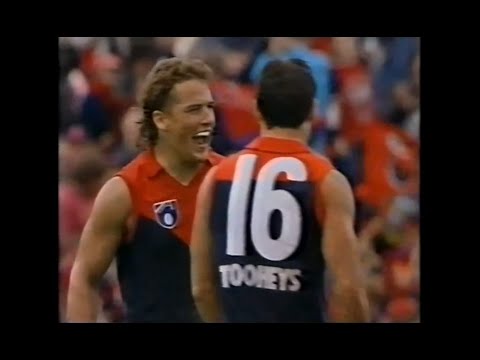 1994 AFL - Hawthorn v Melbourne - Round 2 - VFL Park
