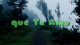 TEMERARIOS / SI TU QUISIERAS / LETRA