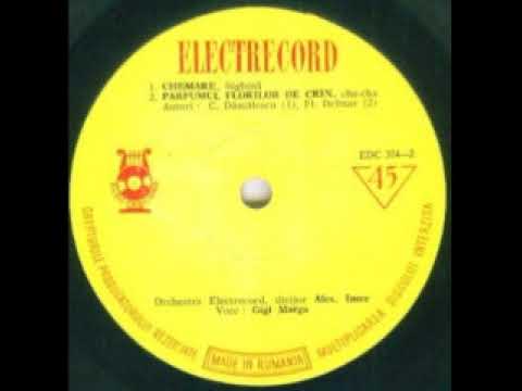 Gigi Marga-Parfumul florilor de crin