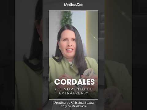 video jrzDxemY9HI