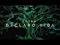 Declaro Vida