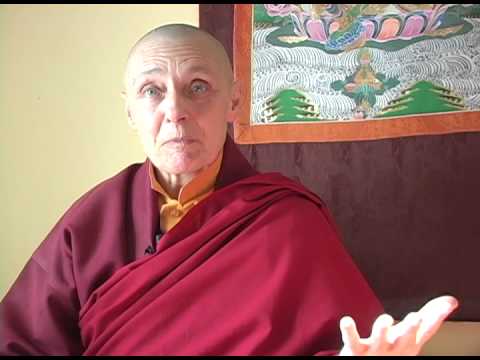 A Dream about the 16th Karmapa, Tenzin Palmo