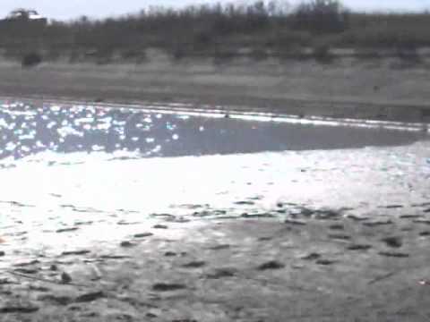 Secarea barajului din Comuna Liebling,jud. Timis  23.10.2010 partea3.wmv